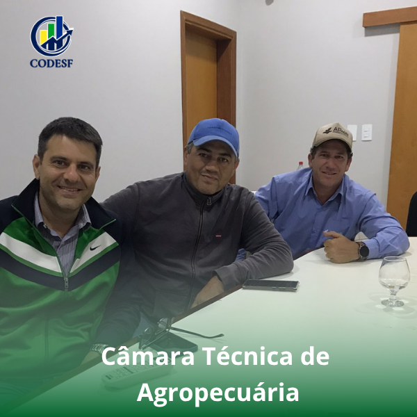 Notícia Câmara Técnica de Agropecuária do CODESF avança no planejamento estratégico