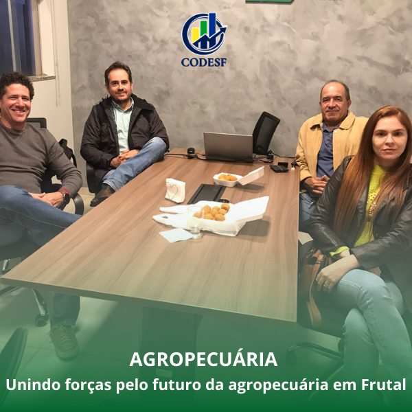 Notícia Câmara Técnica de Agropecuária discute soluções para estradas e infraestrutura rural em Frutal