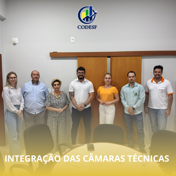 Notícia Reunião integra coordenadores das Câmaras Técnicas e apresenta panorama dos projetos do CODESF