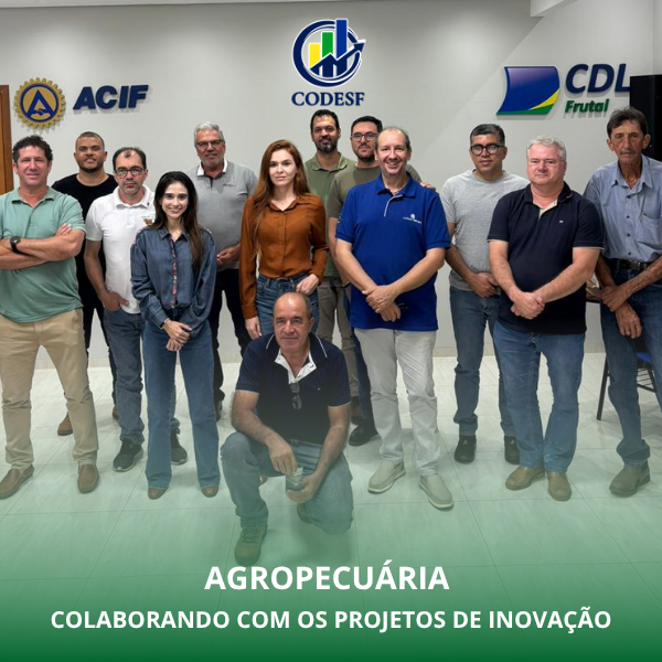 Notícia Câmara Técnica de Agropecuária do CODESF fortalece parcerias e discute projetos para o setor rural