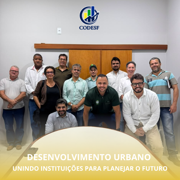 Notícia Câmara Técnica de Desenvolvimento Urbano debate cidades inteligentes e participação no Plano Diretor de Frutal