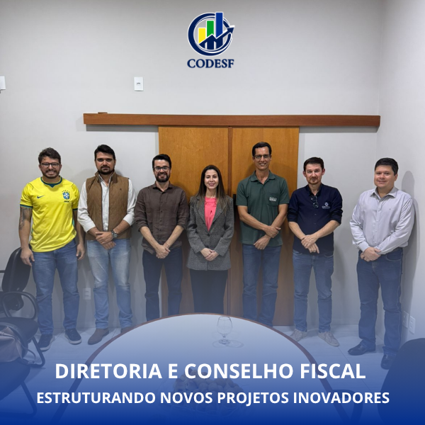 Notícia Diretoria Executiva e Conselho Fiscal do CODESF avançam no planejamento estratégico e discutem criação da Câmara Técnica de Jovens Líderes