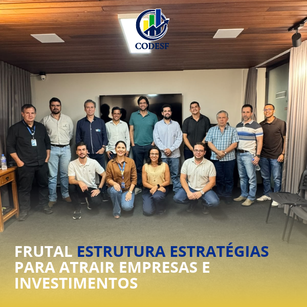 Notícia Frutal avançam na construção de plano estratégico para atração de investimentos em Frutal